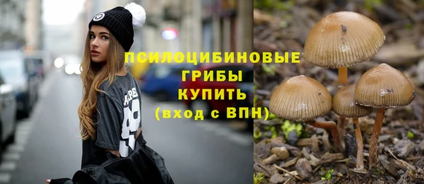 не бодяженный Новодвинск