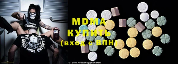 шишки Няндома