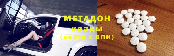 шишки Няндома