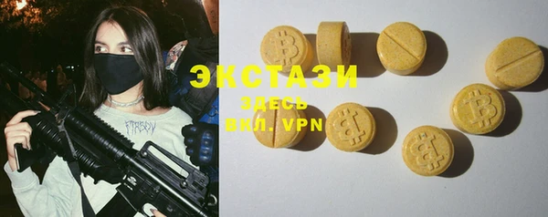 шишки Няндома