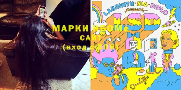 шишки Няндома