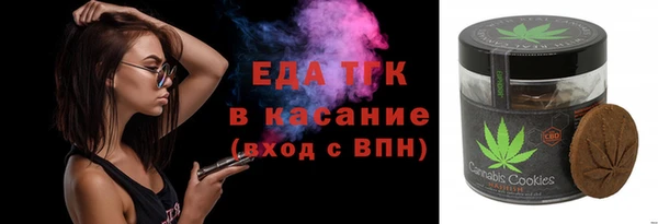 шишки Няндома