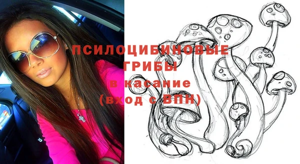 шишки Няндома