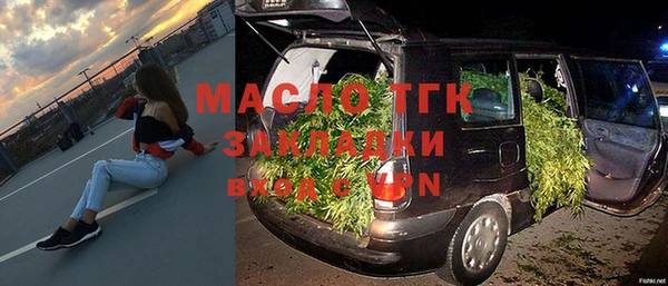 шишки Няндома