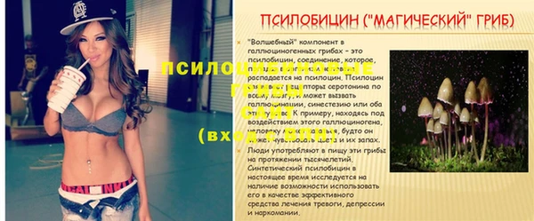 не бодяженный Новодвинск