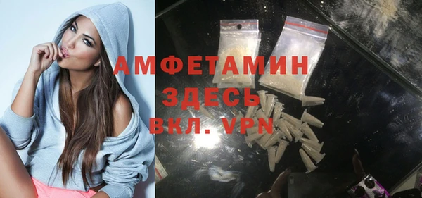 шишки Няндома