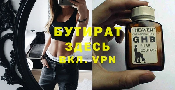 шишки Няндома