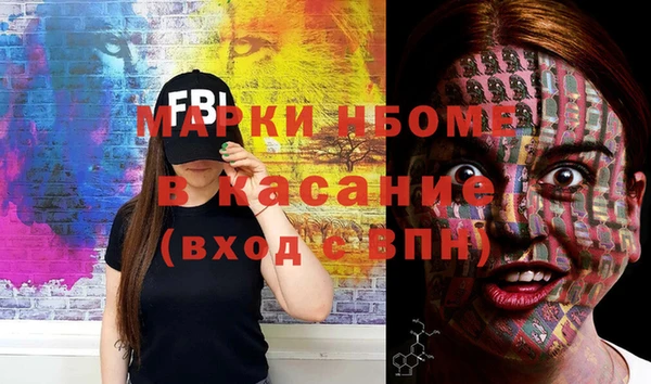 шишки Няндома